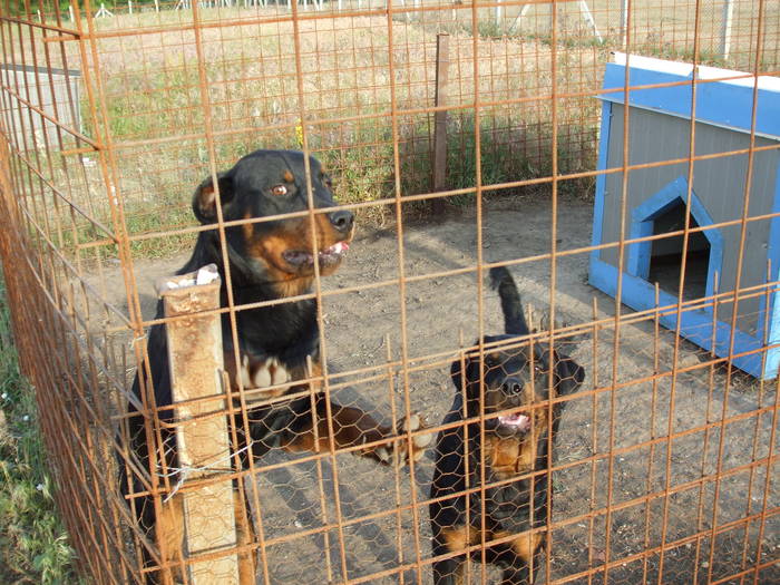 DSCF1376 - Atelierul