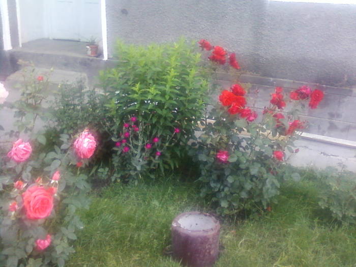 Fotografii-0092