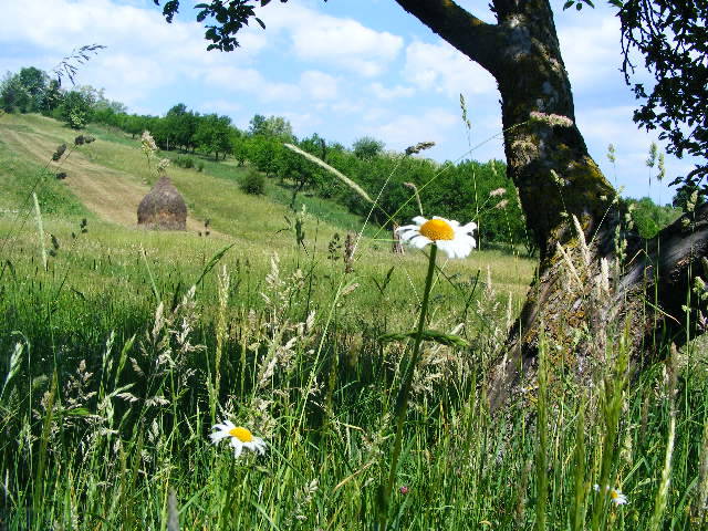 DSCF1545 - hai hui prin Maramures