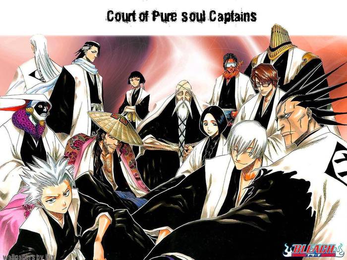 bleach-captains-745265 - Bleach