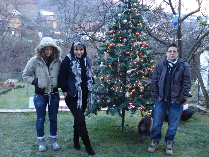 DSC05911 - 2010 REVELION SIBIU