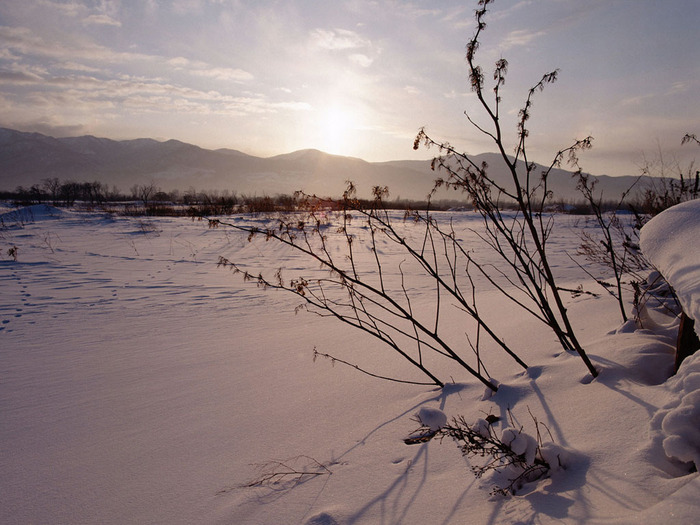 Christmas Wallpapers (560)