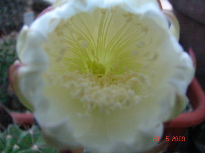 DSC05867
