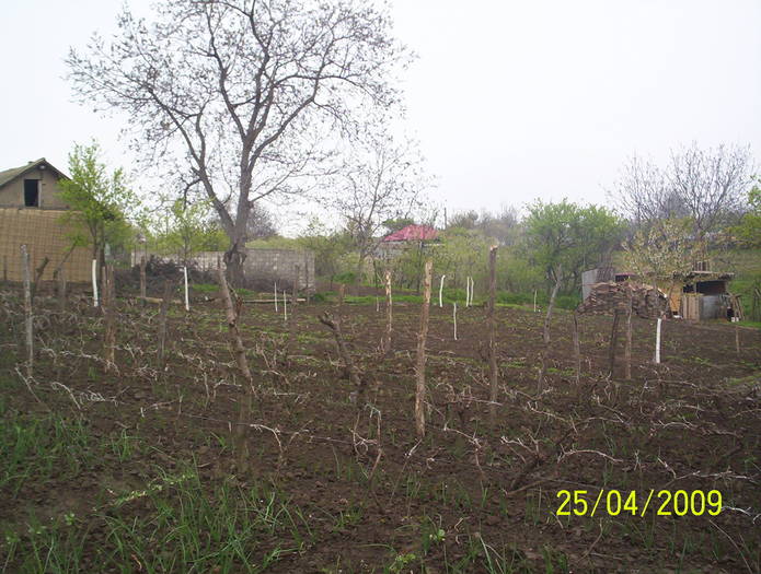 via