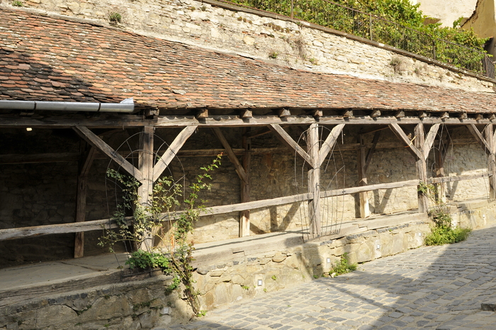 _DSC4245_462 - Sighisoara