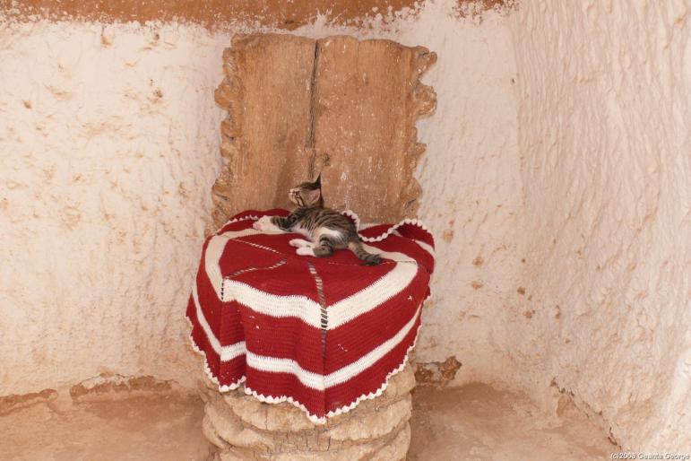 Tunisia_306 - Tunisia