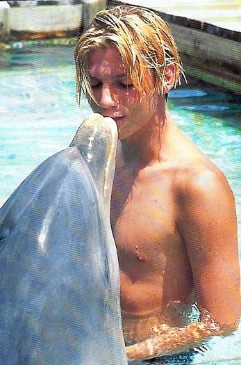 nickheartsdolphins - nickcarter