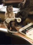 sm_463578 - noci v muzee 1