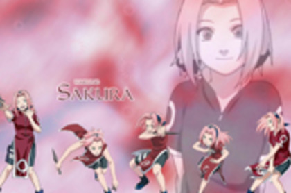 sakura-thumbnail - multe
