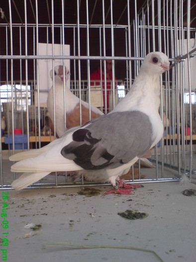 DSC05195