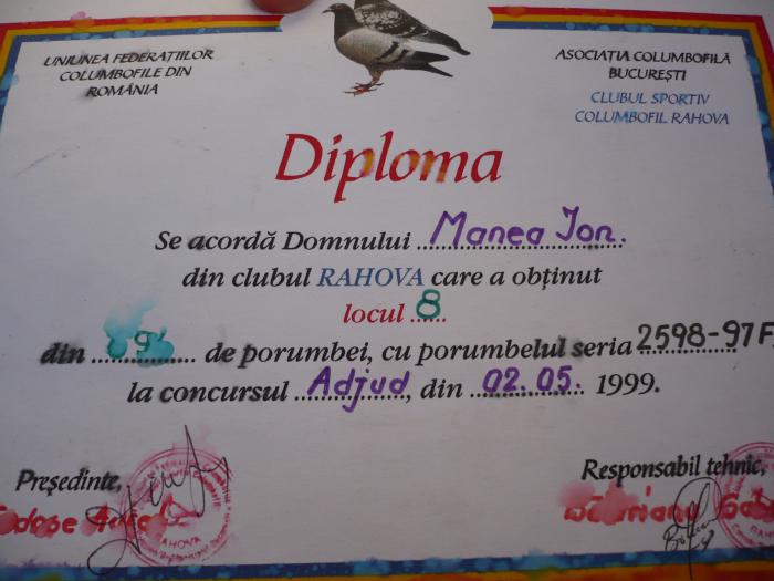 trofeu1 - 5-Diplome