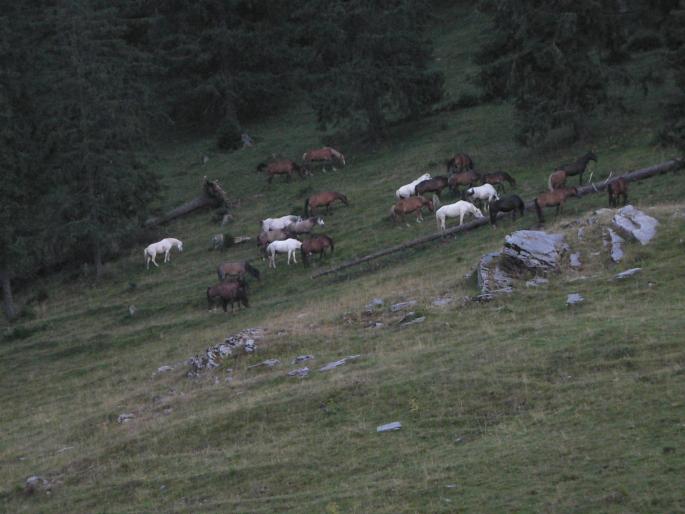 P100059