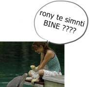 OLVMGZBVCCMNVYQKRXH - POze benzi desenate