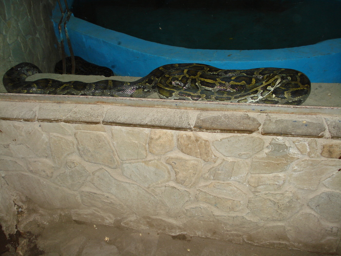 Picture 022