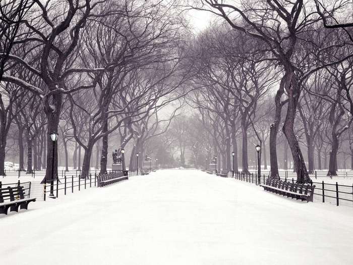 Christmas Wallpapers (641) - Christmas Wallpapers