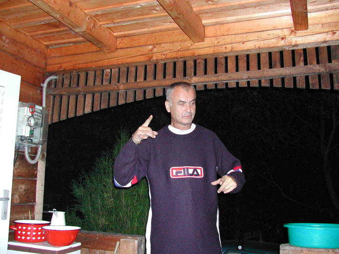 Picture 145 - Firiza