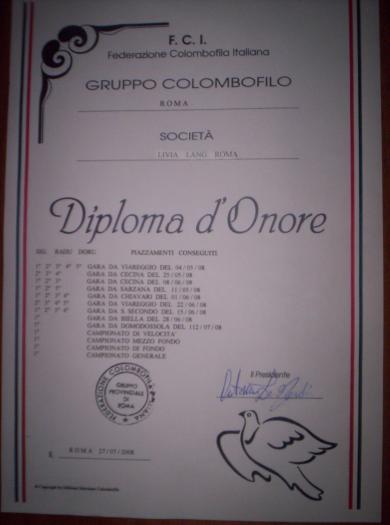 diploma cu 32 de premii-2008