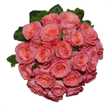Buchete-monocolore-Rotund-poza-t-P-n-d_270 - poze trandafiri