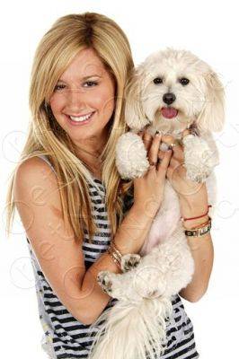 normal_lq030 - Ashley Tisdale