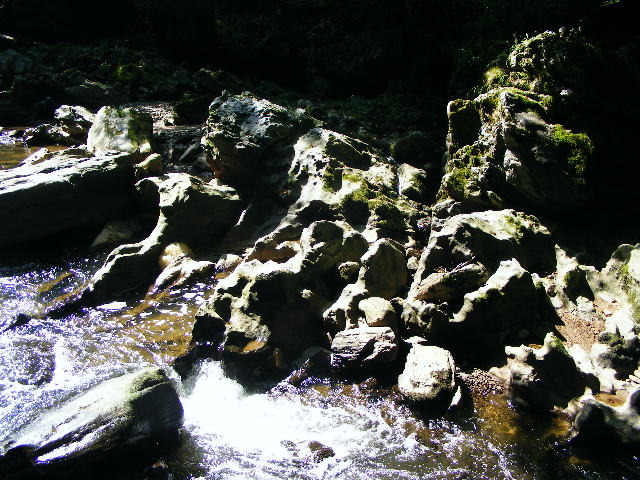 DSCF5250