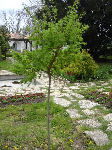 171 - Balchik 20 aprilie 2009