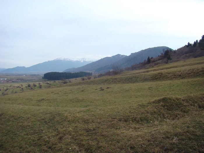 DSC04554 - Valea Crapaturii - Piatra Craiului