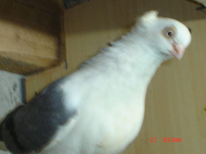 DSC02872