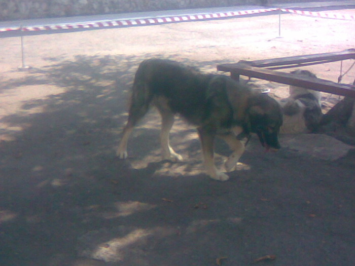 Imag049
