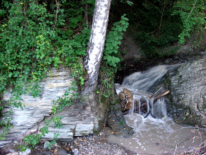 DSCF1559 - peisaje_Bucovina