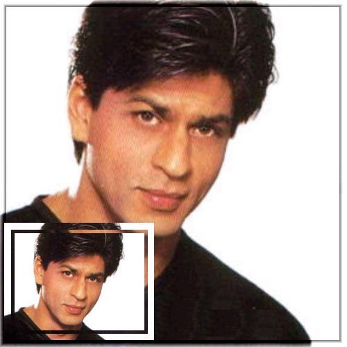 shahrukh_khan_081