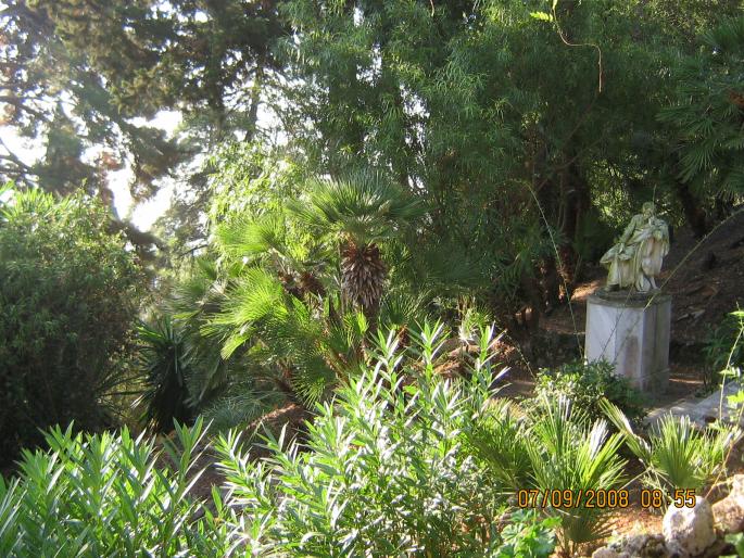 IMG_0388 - 2008 - corfu