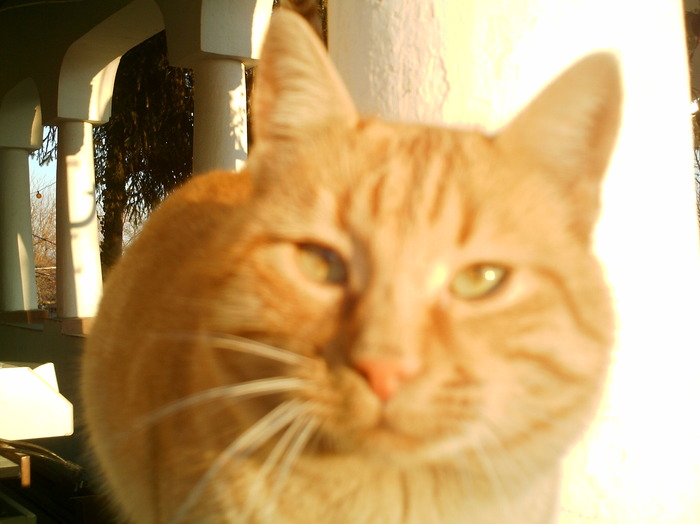 IMAG0031