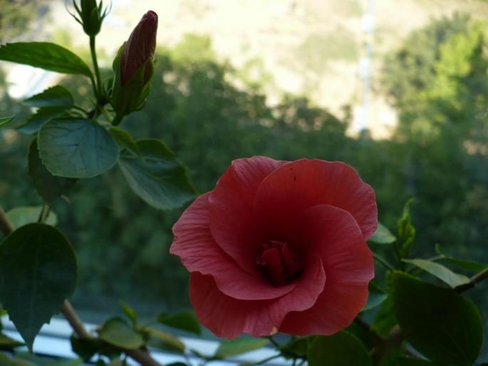 P1040151