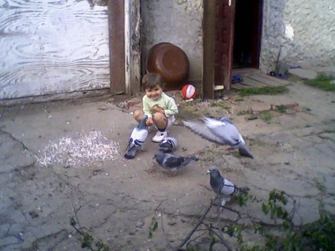 Fotografii-0009 - porumbeii mei