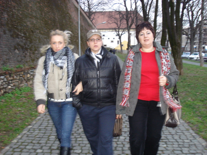 DSC06259 - 2010 REVELION SIBIU