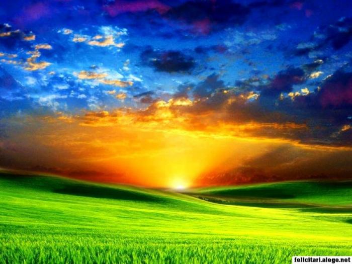 green-field-with-sunset_800 - Peisaje