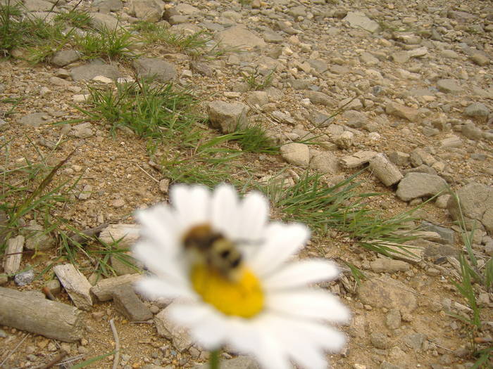 DSCF6089