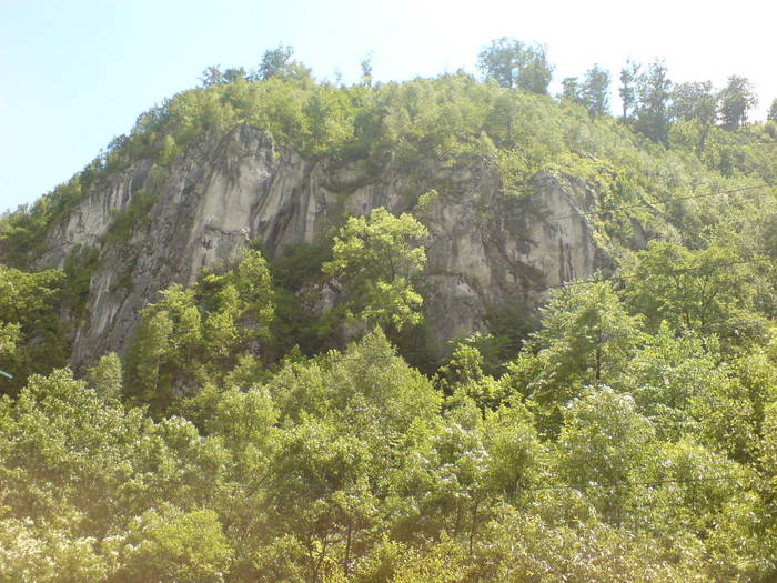 DSC01782