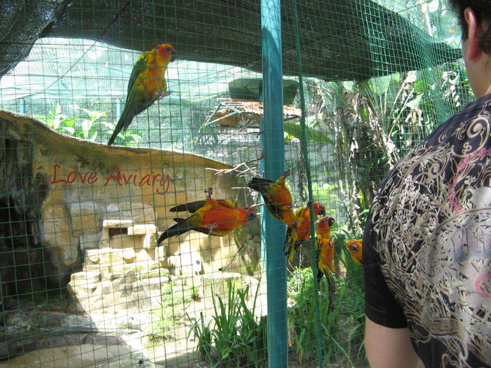 IMG_0038 - 2_1 - Kuala Lumpur Bird Park