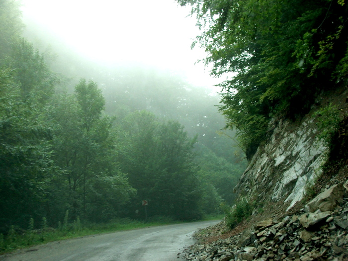 DSCF4905 - Valea Cernei