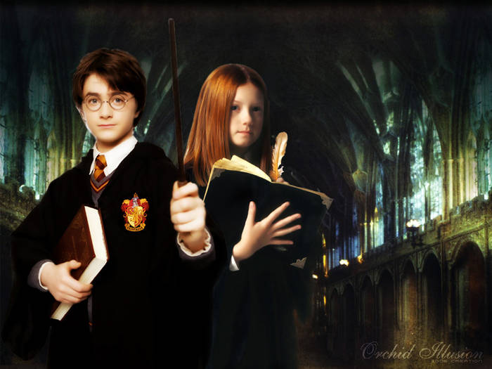 harry-and-ginny-harry-and-ginny-2961726-800-600 - harrry potter and his friends