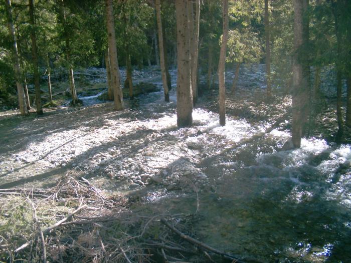 04130130 - Iezer-Papusa