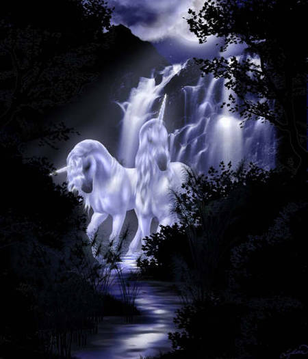 unicorni din cascada - Poze minunate