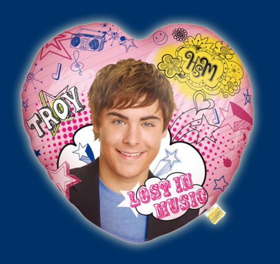 HSMtroy