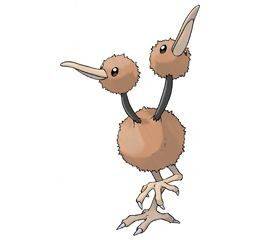 084doduo