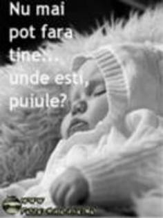 nu mai pot fara tine unde esti puiule