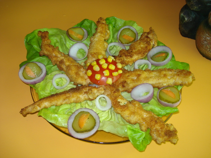 SNITEL ,,CARACATITA ,,