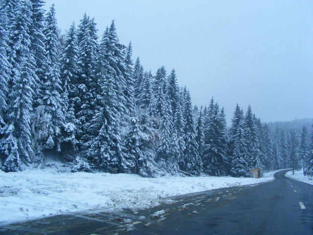 DSCF7298 - ninge in Maramu