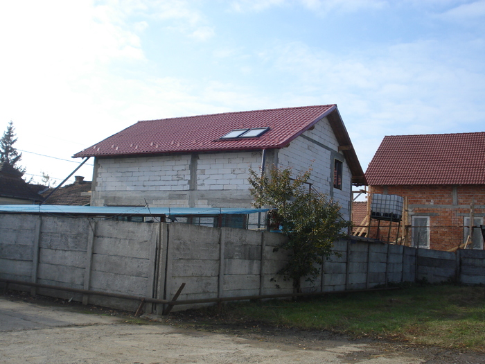 DSC02533