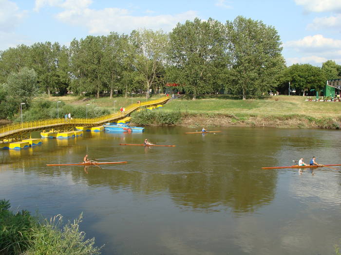 Memorial Sorin Lobont Editia a IX a (2008)